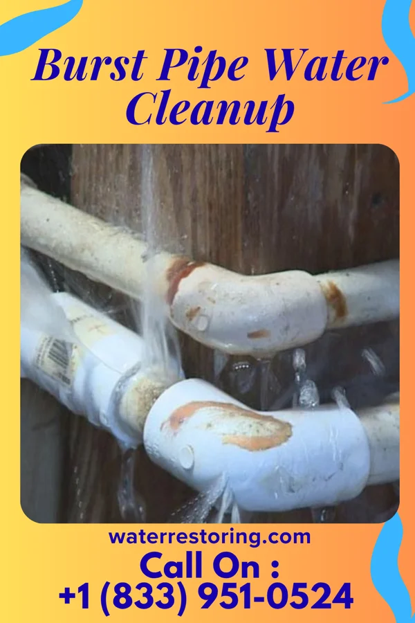 Burst Pipe Water Cleanup in Plantersville, MS