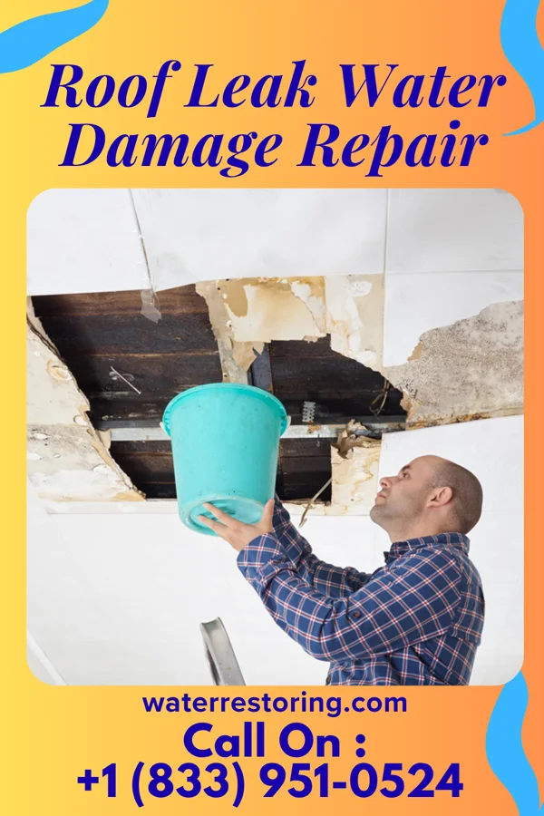 Roof Leak Water Damage Repair in Plantersville, MS