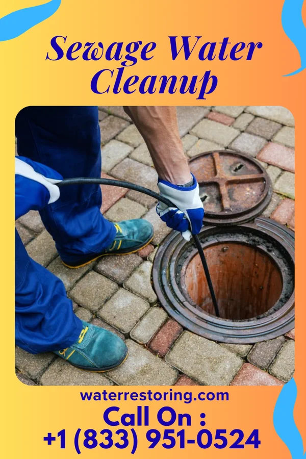 Sewage Water Cleanup in Plantersville, MS